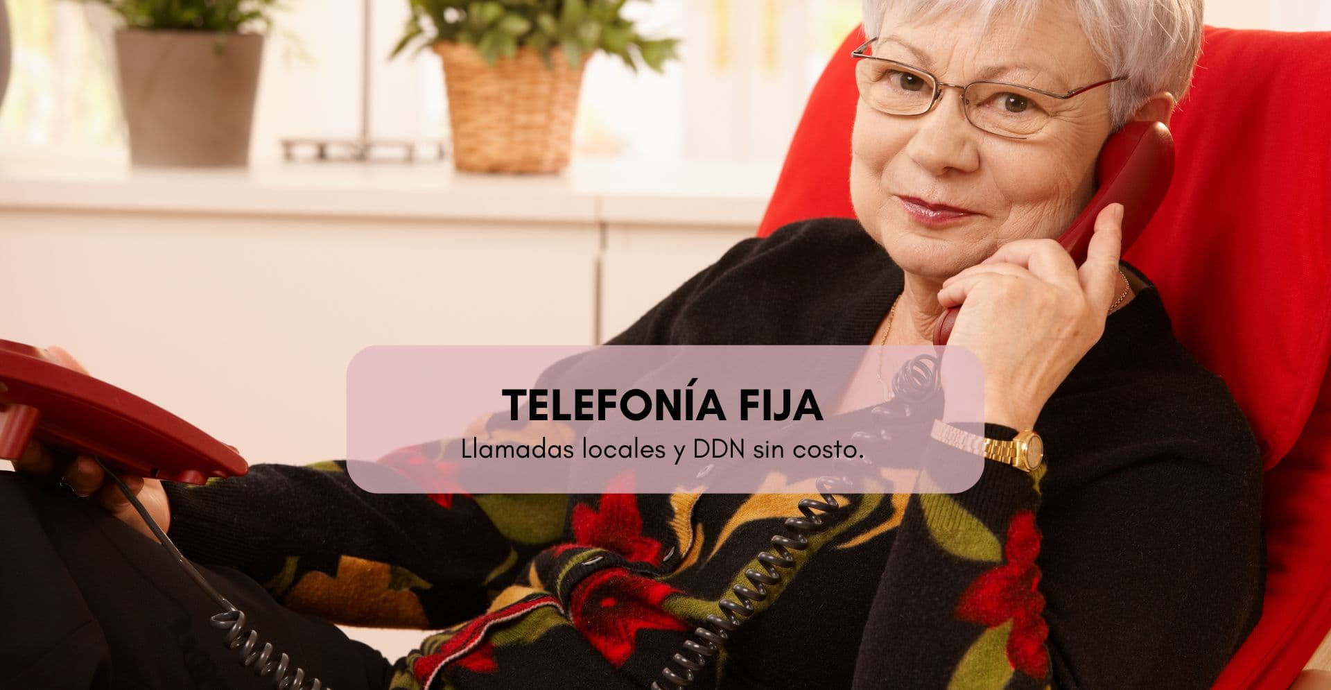 Telefonía fija IP